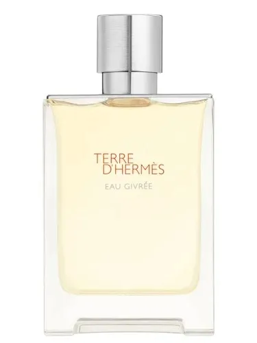 HERMES TERRE D'HERMES EAU GIVREE 100 ml FLAKON