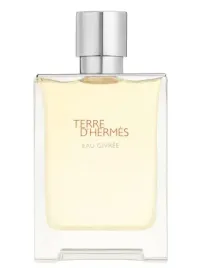 hermes-terre-d-hermes-eau-givree-100-ml-flakon
