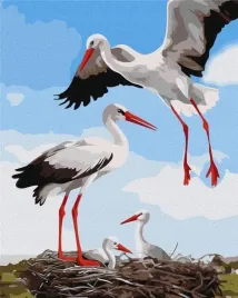 malowanie-po-numerach-rodzina-bocianow-40x50cm