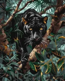 malowanie-po-numerach-pantera-40x50cm