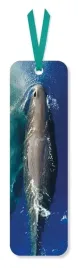 zakladka-do-ksiazki-sperm-whale