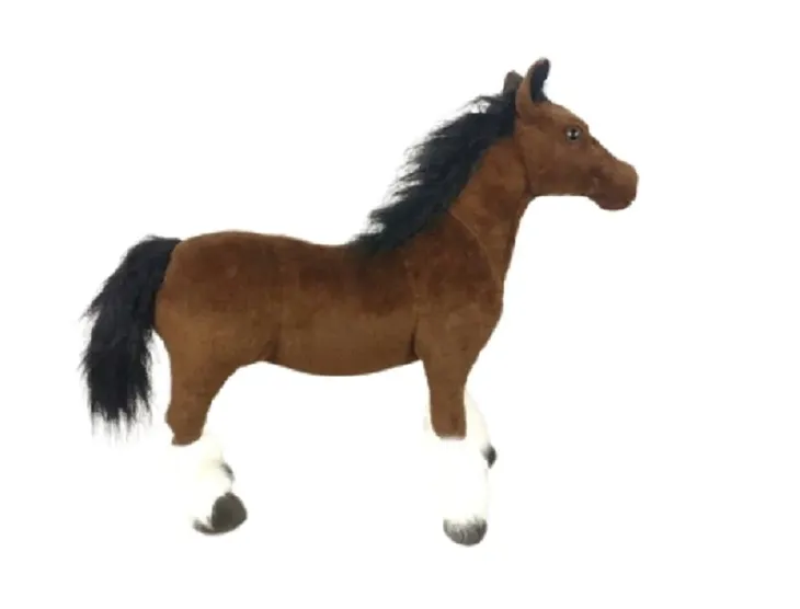 kon-shire-55cm-stan-nowy