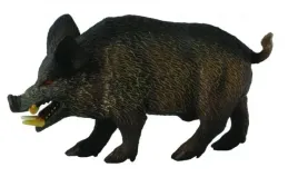 dzik-odyniec