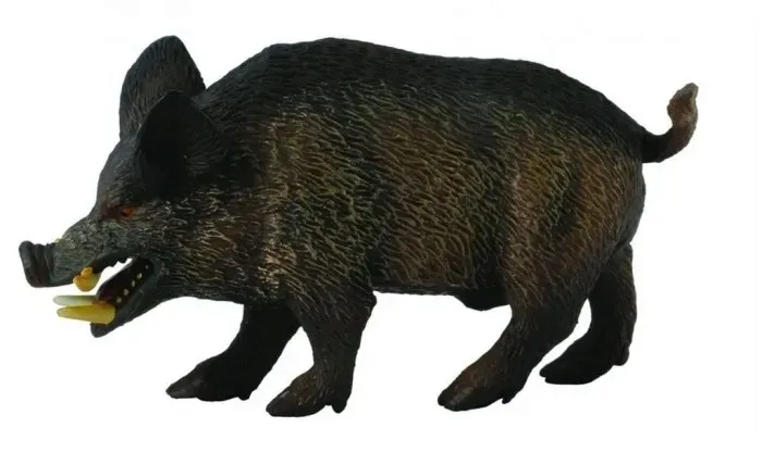 dzik-odyniec