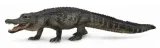 aligator-amerykanski