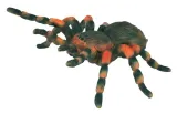 ptasznik-czerwonokolanowy-bohater-brak