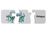 puzzle-edukacyjne-ocean-10el-minimalny-wiek-dziecka-18