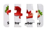 puzzle-edukacyjne-owoce-10el-bohater-brak