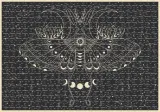 puzzle-500-galaxy-2-kolekcja-galaxy