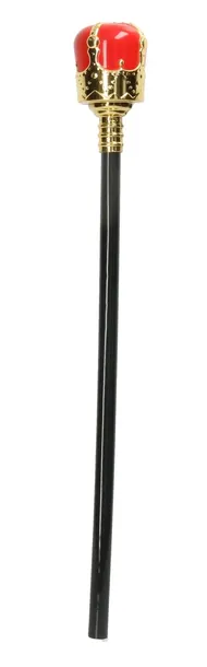 berlo-47cm-stan-nowy