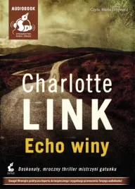 cd-mp3-echo-winy