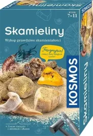 zestaw-archeologiczny-skamieliny-piatnik