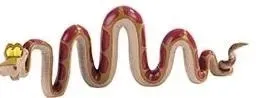 kaa-bullyland