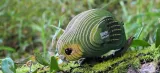papuga-kakapo-eugy-eko-ukladanka-3d-material-karton
