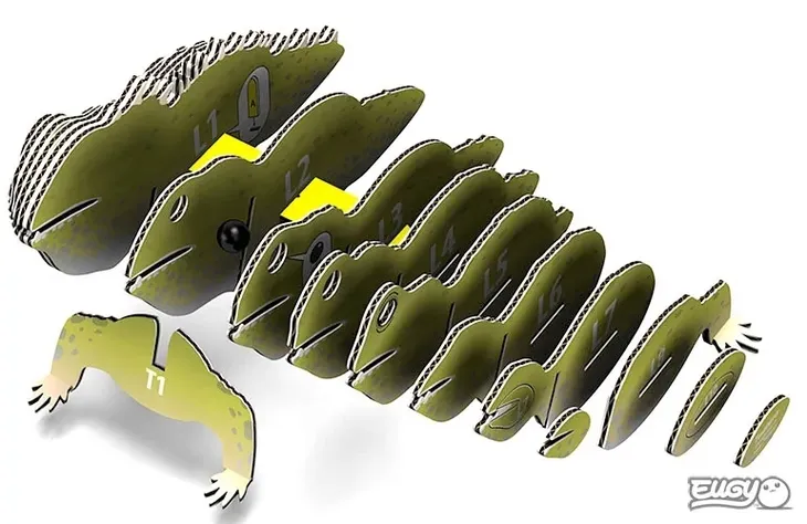 hatteria-gad-eugy-eko-ukladanka-3d-kolekcja-zwierzeta
