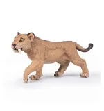 smilodon-mlody-plec-chlopcy-dziewczynki