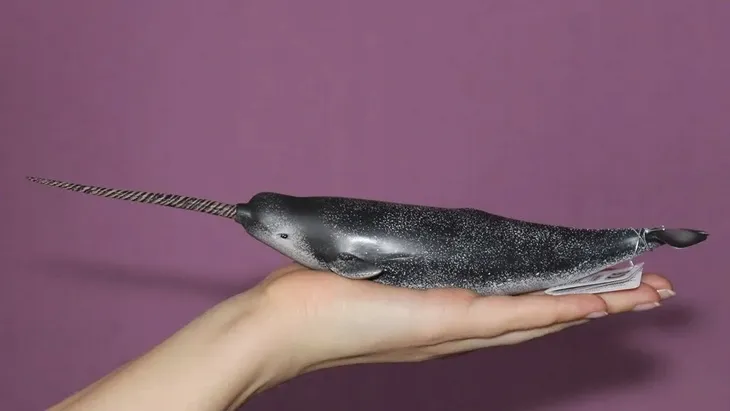 narwal-plec-chlopcy-dziewczynki