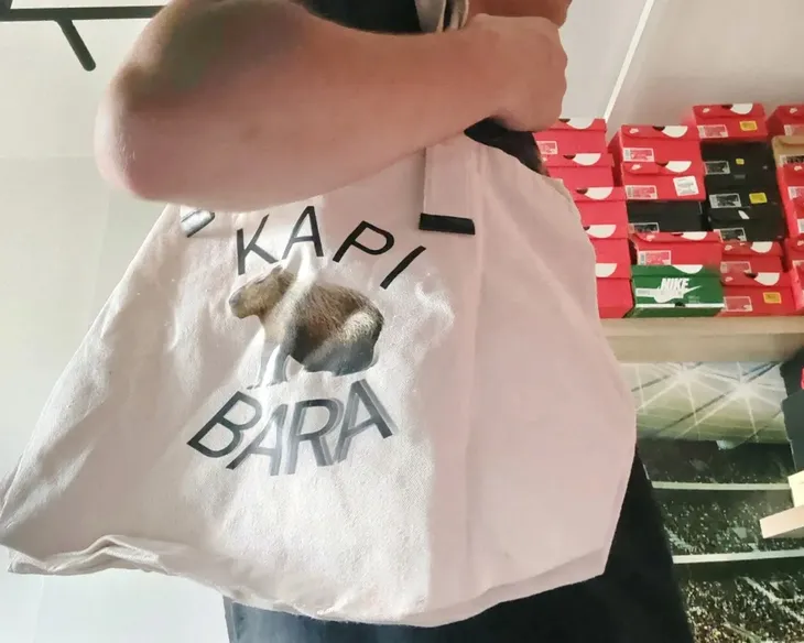 torba-plocienna-torba-na-codzien-kapibara-rodzaj-plazowa
