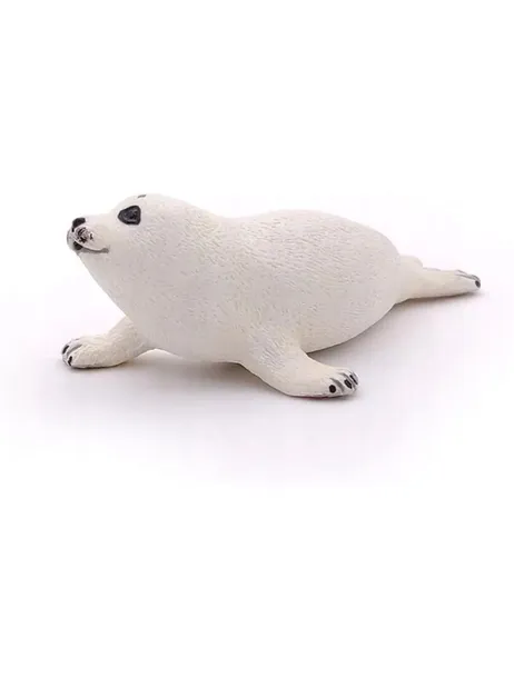 foka-mloda-plec-chlopcy-dziewczynki