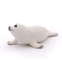 foka-mloda-plec-chlopcy-dziewczynki