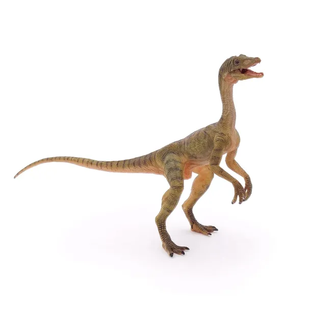 compsognathus-plec-chlopcy-dziewczynki