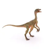 compsognathus-plec-chlopcy-dziewczynki