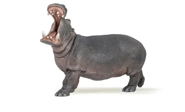 figurka-hipopotama-papo-kolekcjonerska-skala-1-20