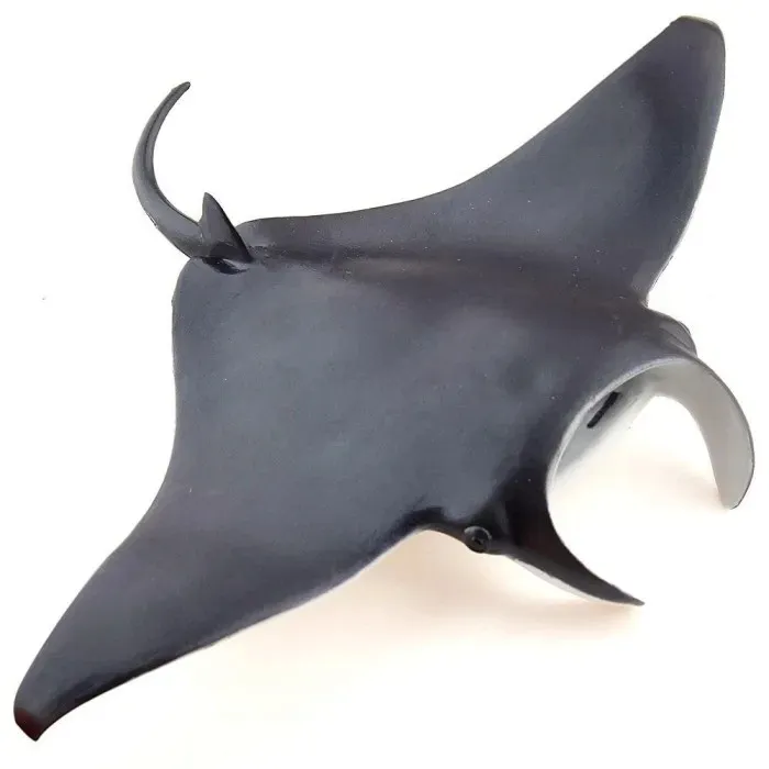 manta