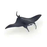 manta-stan-nowy