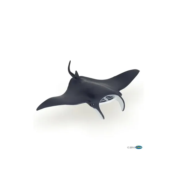 manta-plec-chlopcy