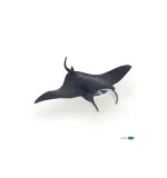 manta-plec-chlopcy