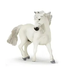 kon-camargue