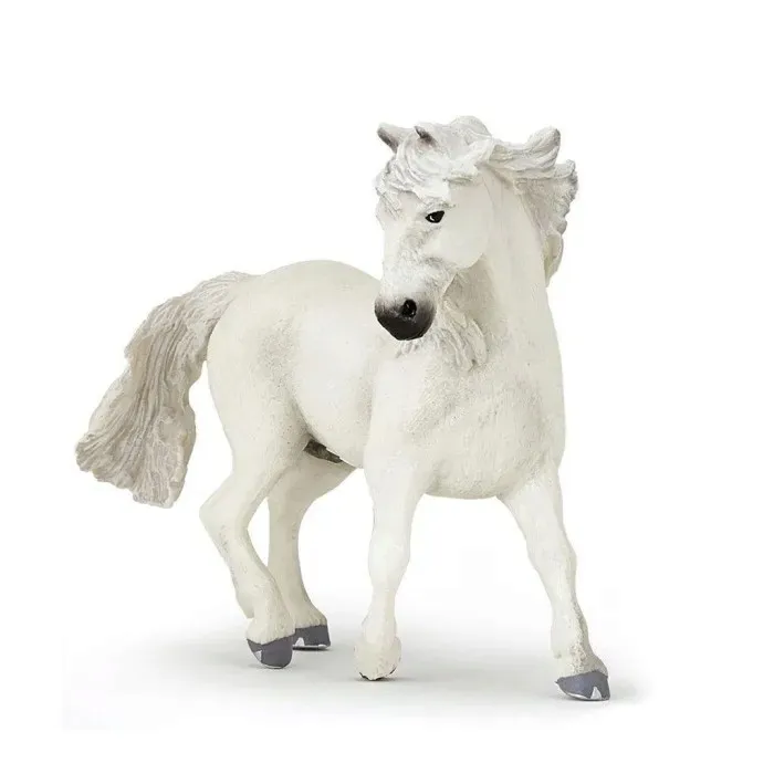 kon-camargue