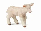 owca-bohater-inny