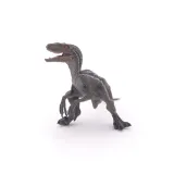 velociraptor-plec-chlopcy-dziewczynki