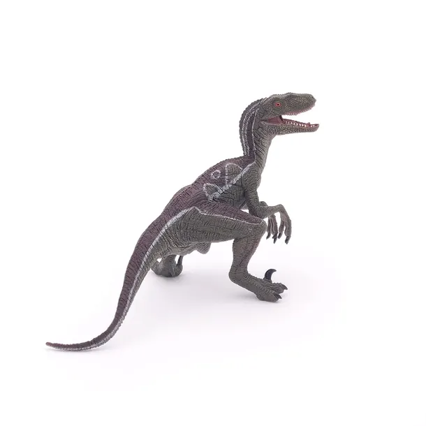 velociraptor-certyfikaty-opinie-atesty-ce