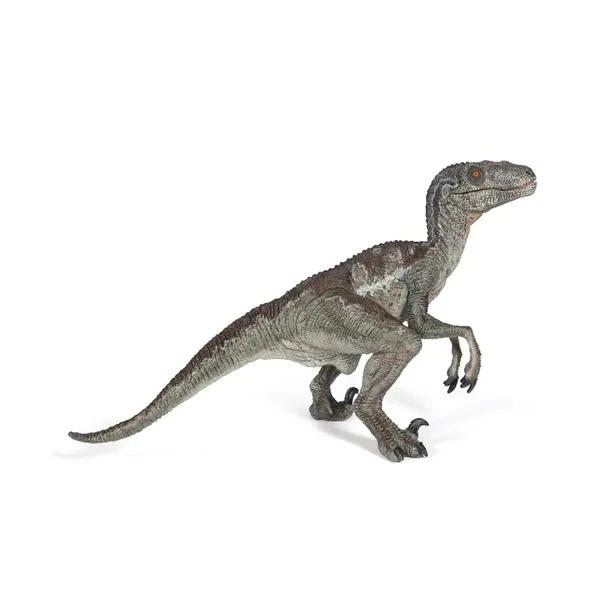 velociraptor-wiek-dziecka-9-m