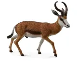 koziol-springbok
