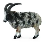 owca-wielorga