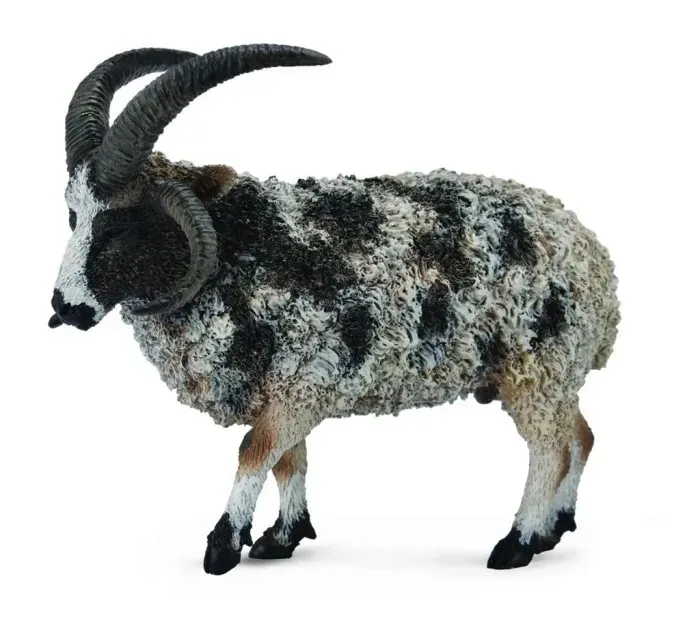 owca-wielorga