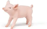 prosie-plec-chlopcy-dziewczynki