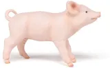 prosie-certyfikaty-opinie-atesty-ce