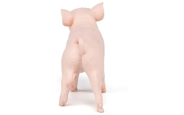prosie-typ-figurka