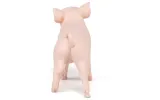 prosie-typ-figurka
