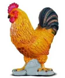 kogucik