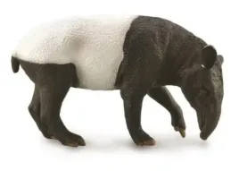 malayan-tapir