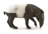 malayan-tapir-stan-nowy