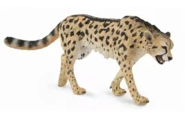 gepard-krolewski
