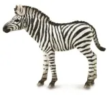 zebra-foal