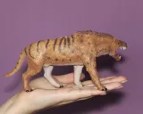 dinozaur-andrewsarchus-plec-chlopcy-dziewczynki